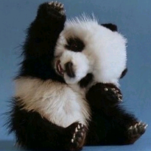 Meet your Posher, Amanda - Picture 1 of 1